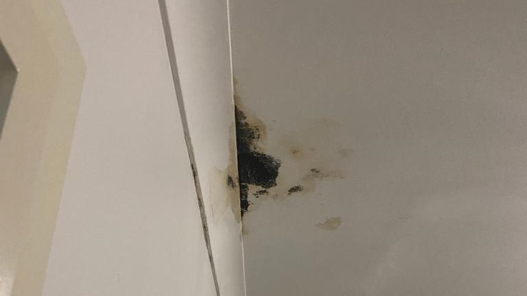 What Causes Leaking Roof