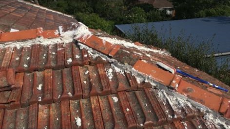 Spray & Wait Roof Cleaning