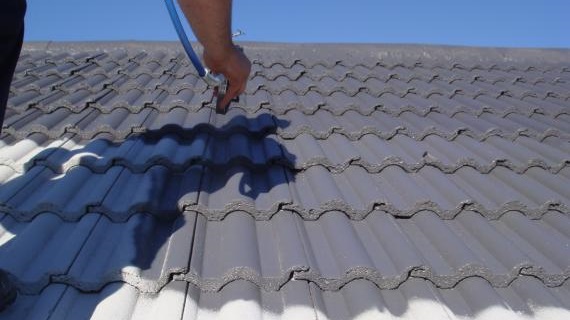 Roof Painting Cost