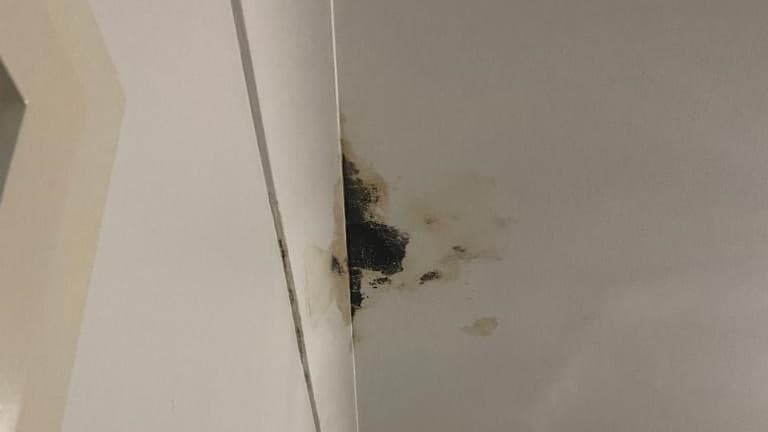 What Causes A Roof To Leak? Common Causes & Solutions