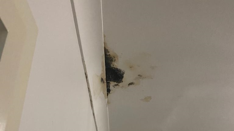 What Causes A Roof To Leak? Common Causes & Solutions