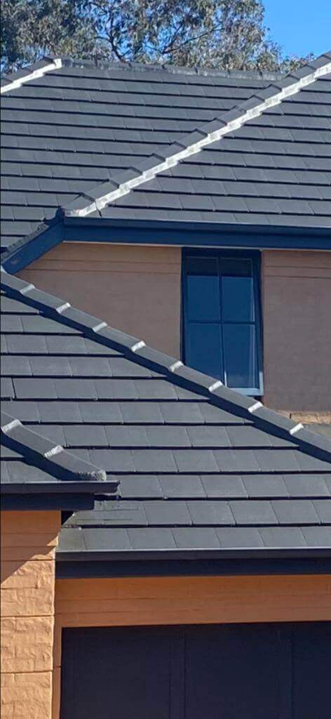 Roof painting