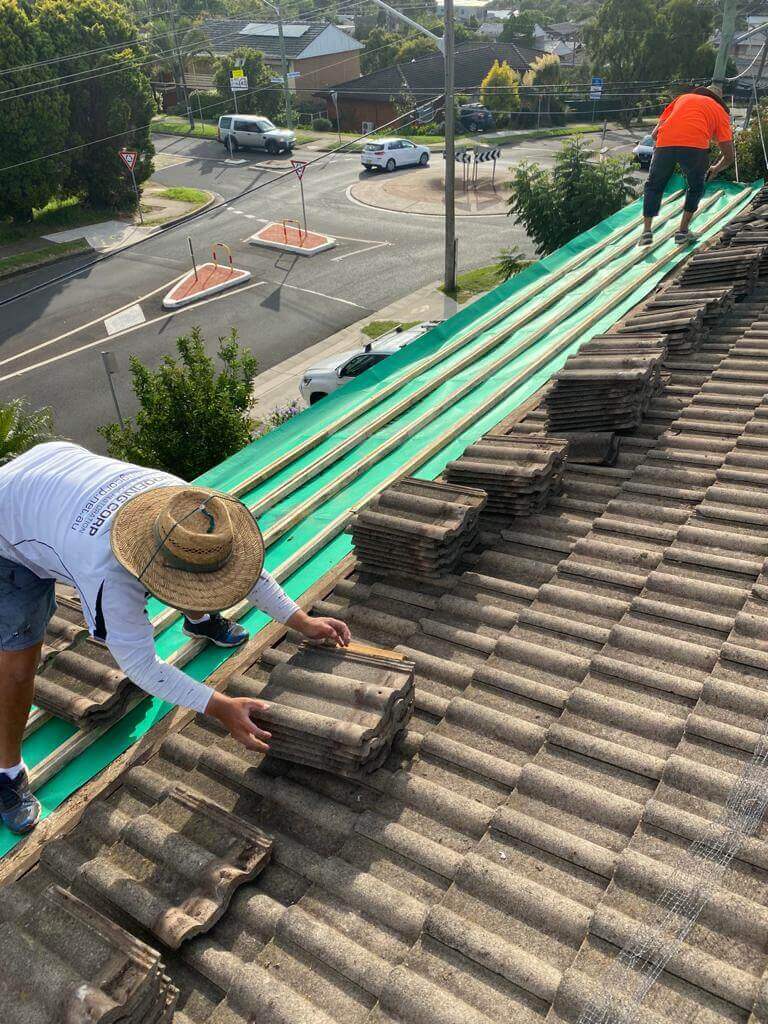 Roof cleaning