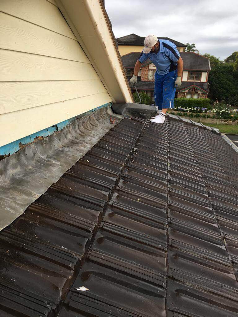 Roof painting project