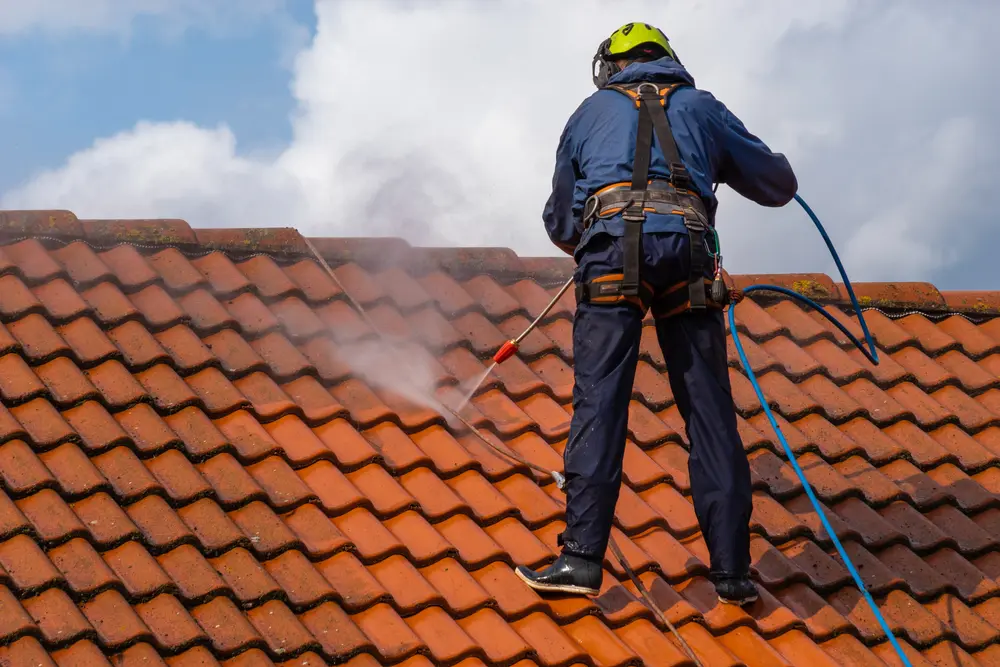 Roof Cleaning service in Denistone