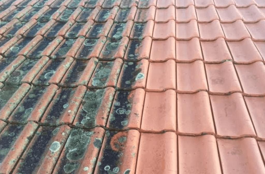Spray & Wait eco-friendly roof cleaning treatment Sydney