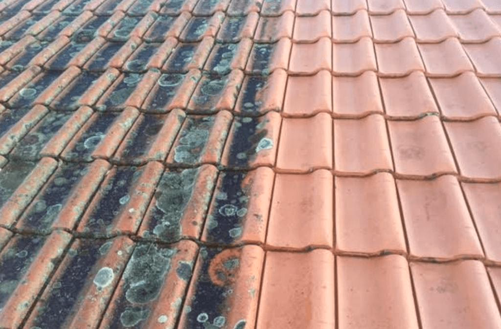 Spray & Wait eco-friendly roof cleaning treatment Sydney