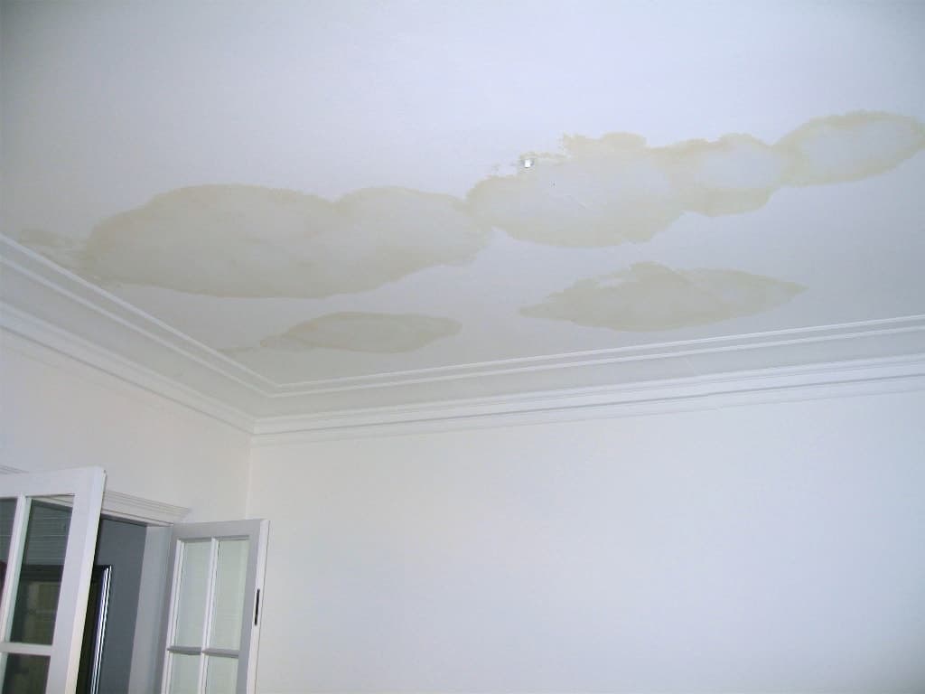 Leaking Roofs