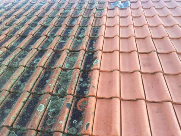 Balmain Roof Cleaning